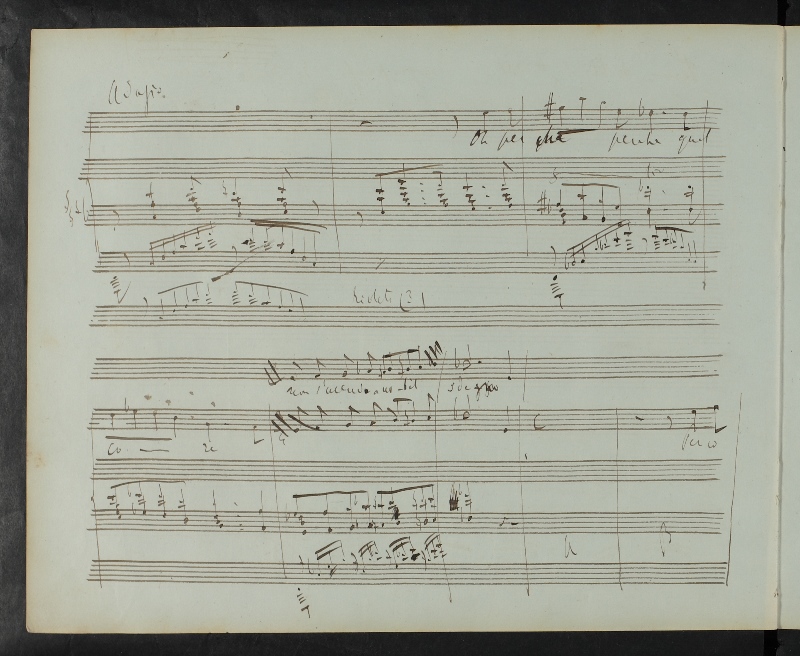 A page of Liszt's draft to Sardanapalo. Klassik Stiftung Weimar, GSA 60 / N4 A page of Liszt's draft to Sardanapalo. Klassik Stiftung Weimar, GSA 60 / N4